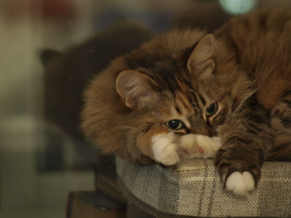 Photograph by Сергей Рябов