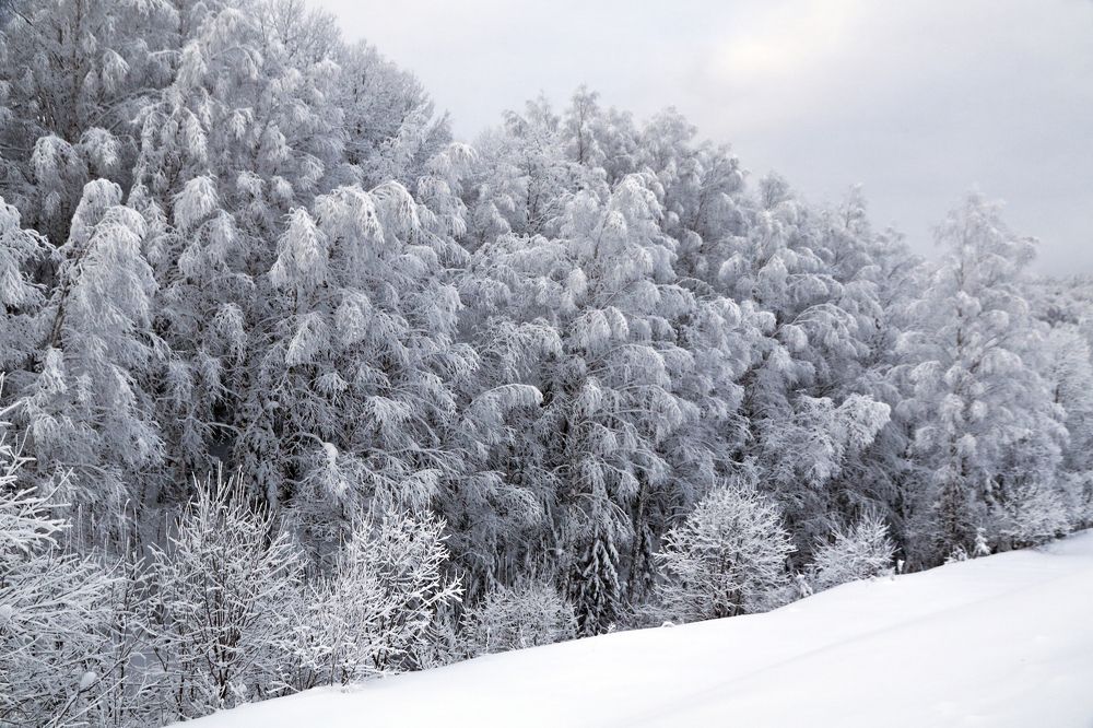 Photograph by Олег Укладов