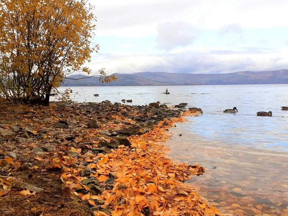 Осень на озере Тургояк