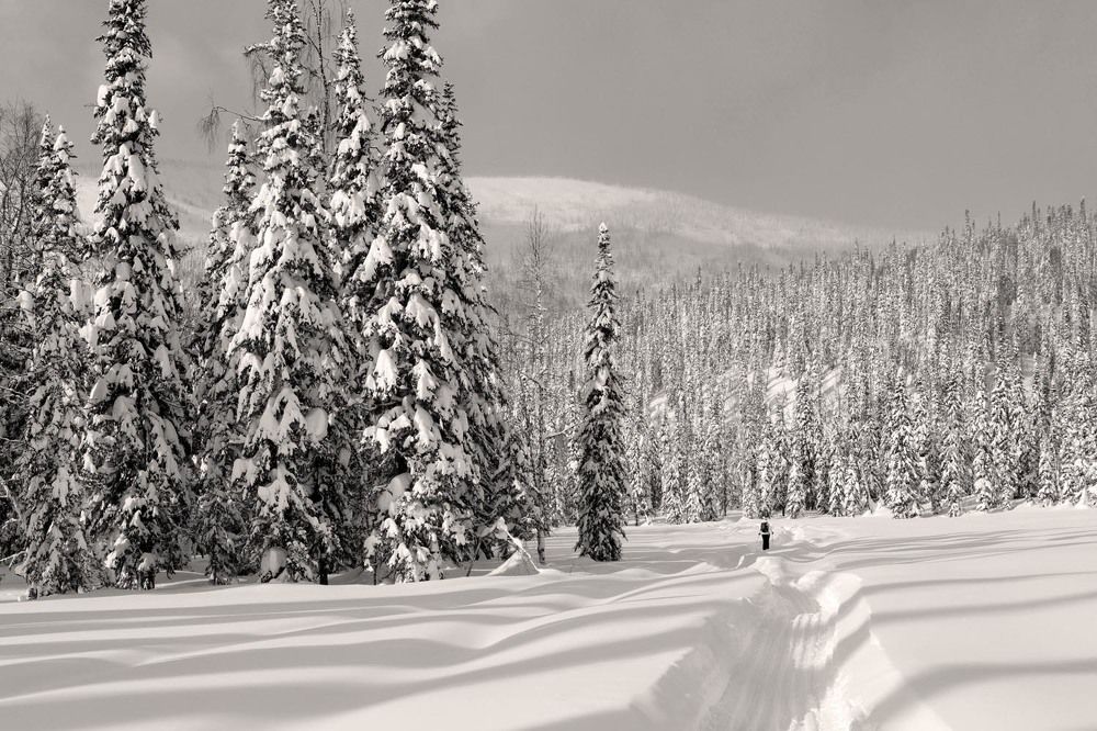 Фотография автора Татьяна Добровольская