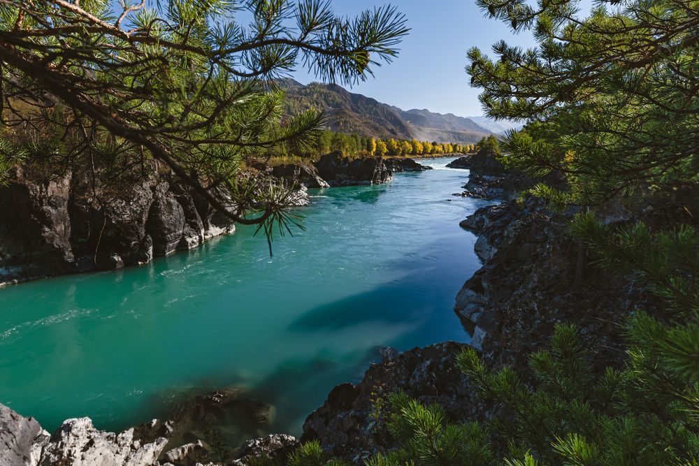 Photograph by Svetlana Zelyanina