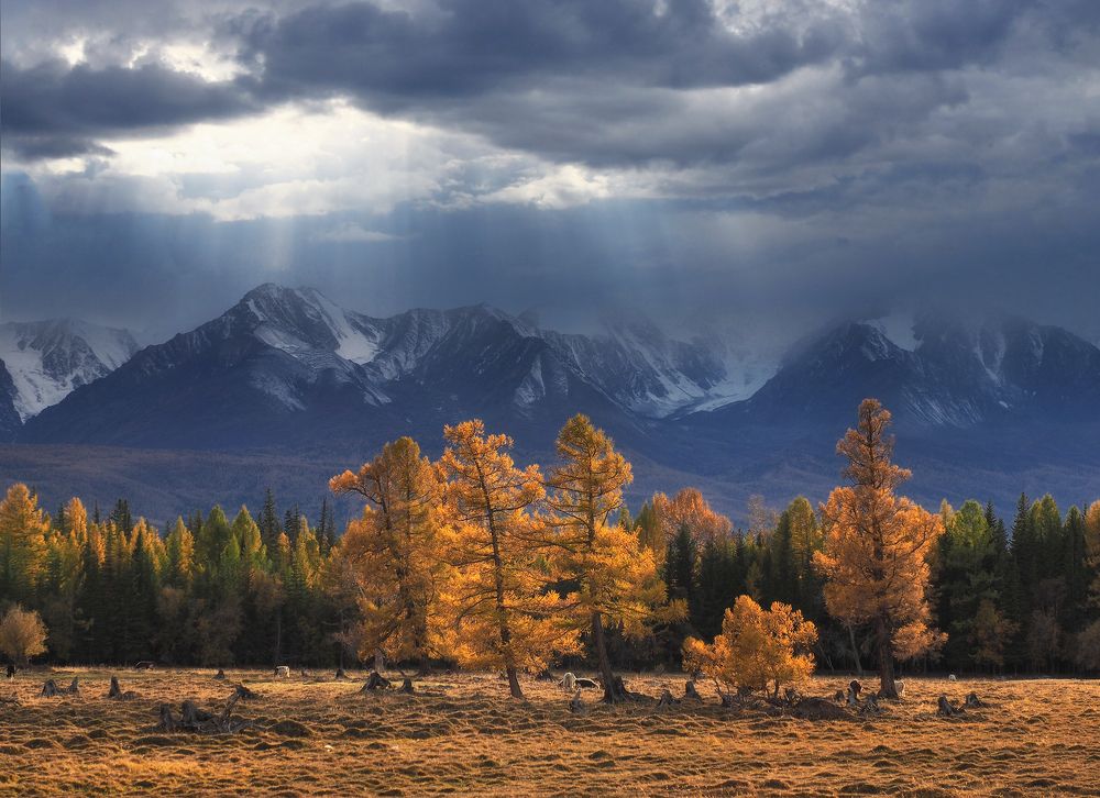 Photograph by Галина Хвостенко