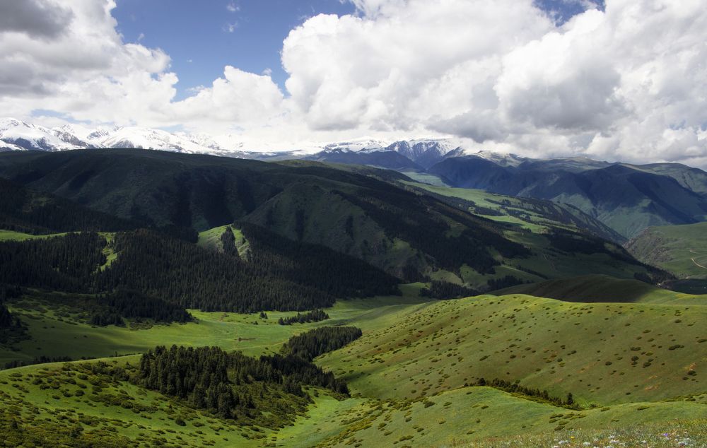 Photograph by Лия Яковлева