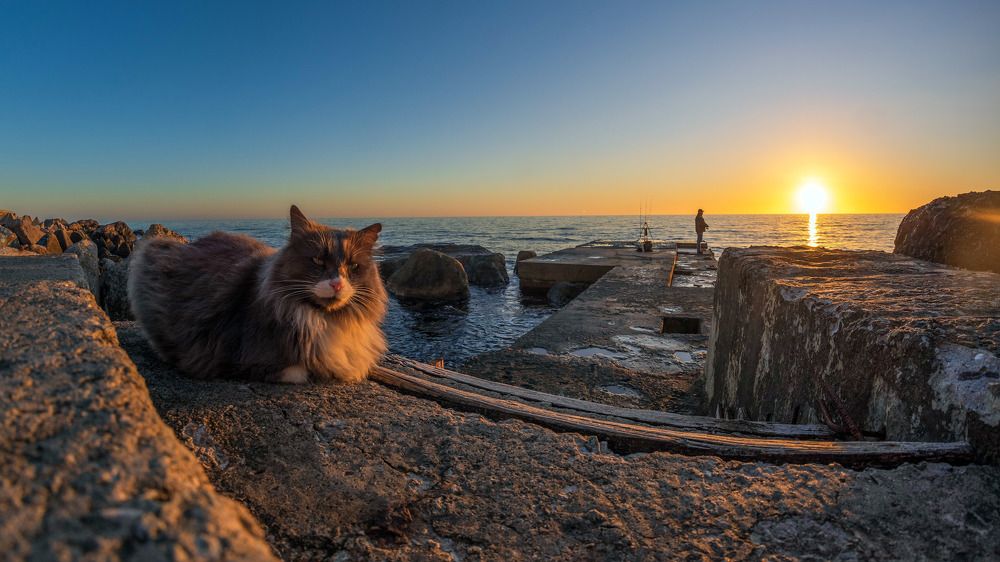 Всё под контролем