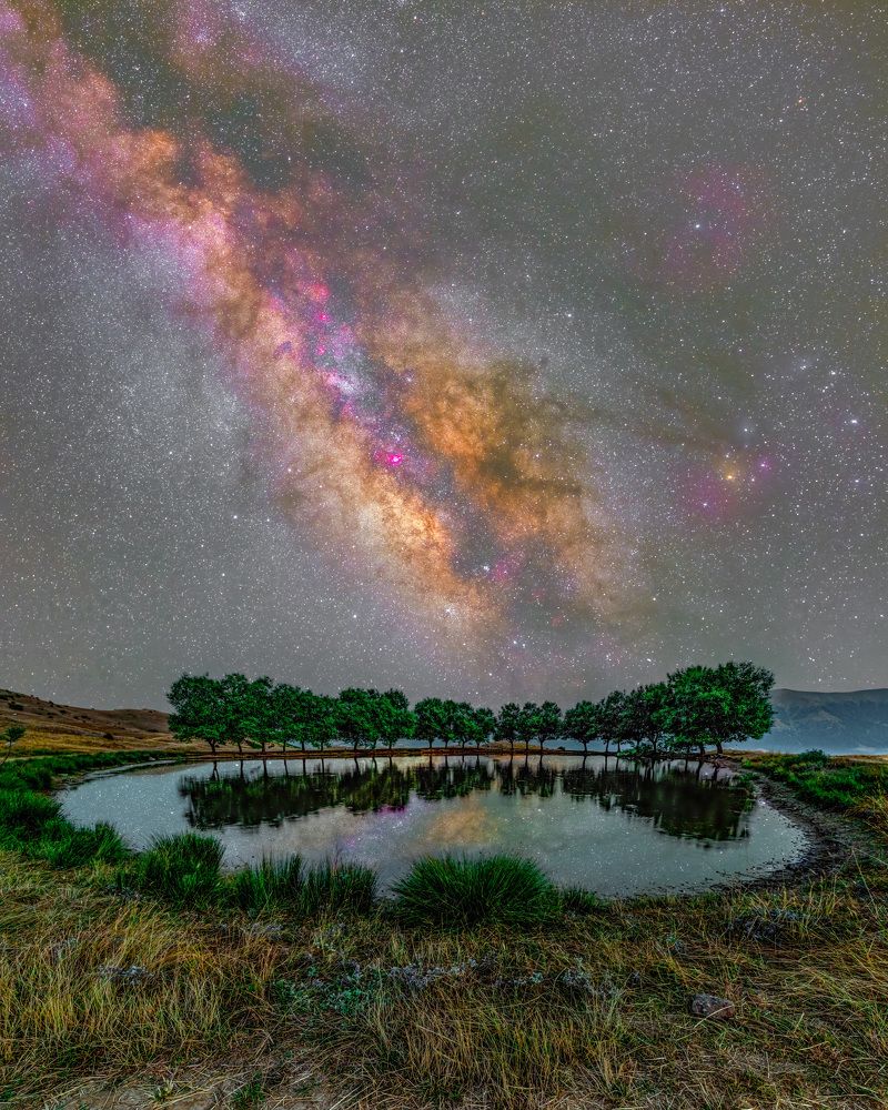 Photograph by Mohsen Sadeghi