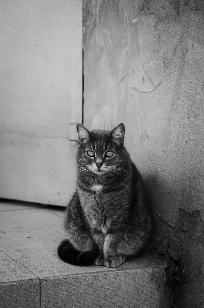 Photograph by Анастасия Кашенко