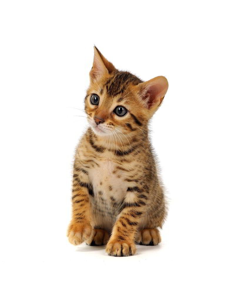 Photograph by Виктор Лагашёв