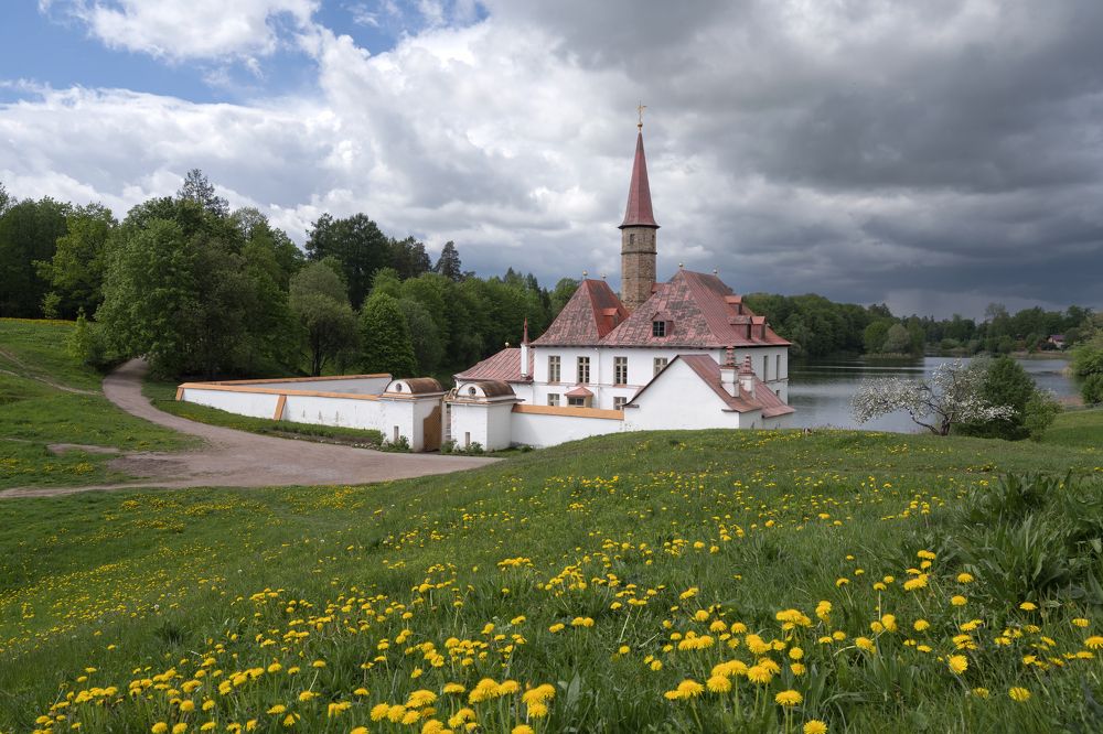 Одуванчиковое лето