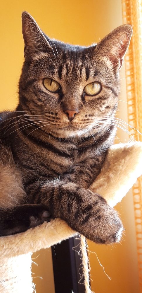 Photograph by Linda Brakus