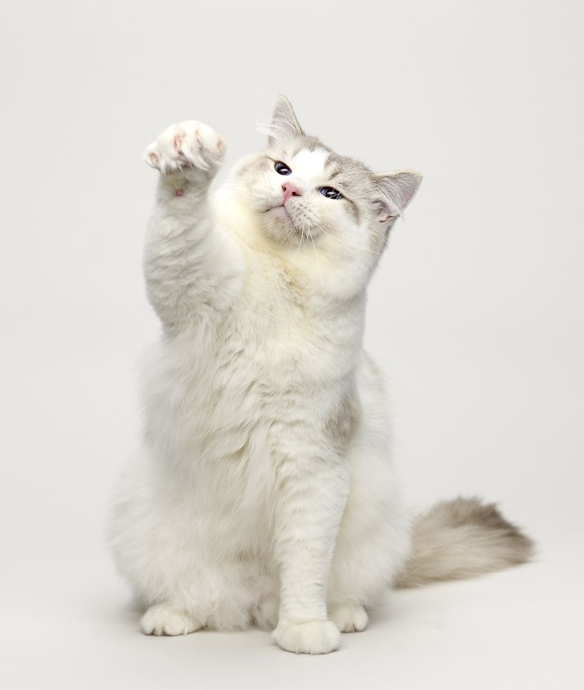 Photograph by Yuri Boichenko