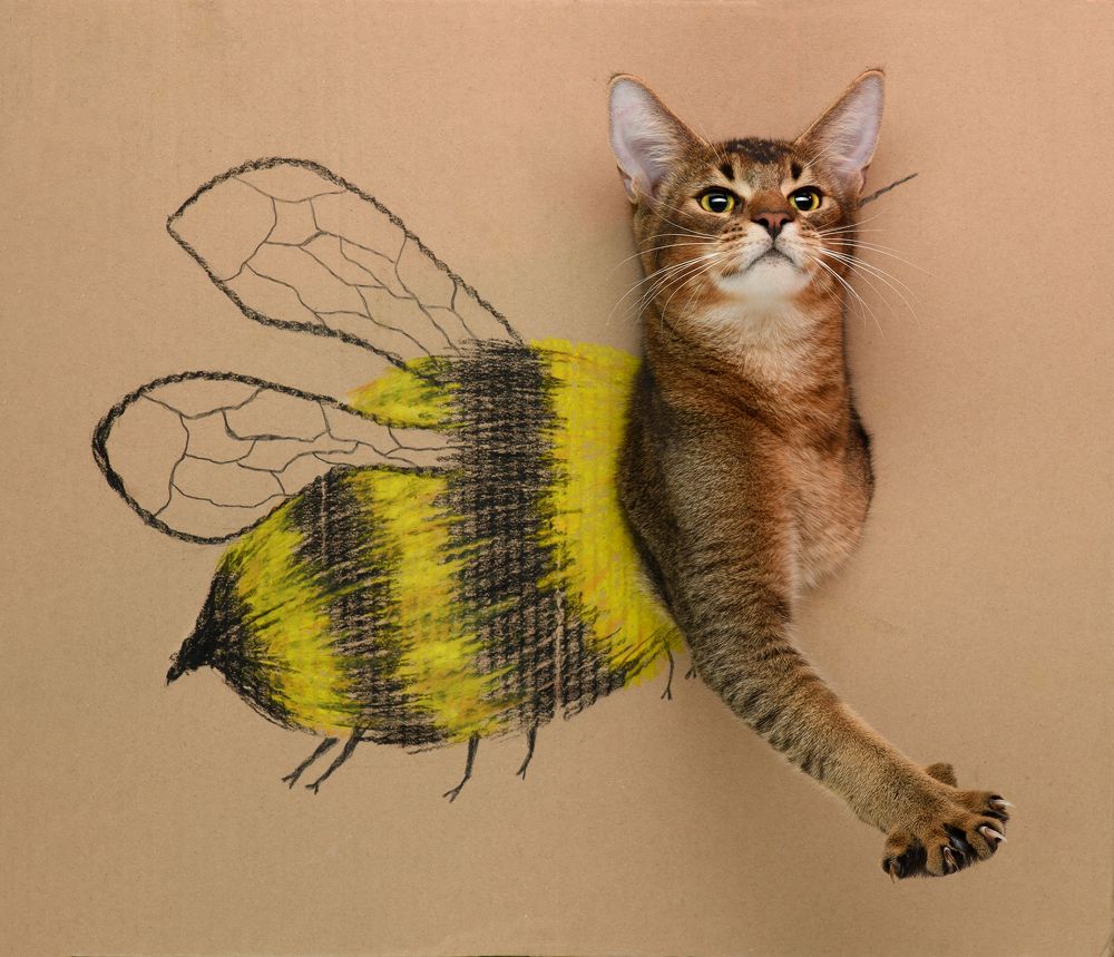 Photograph by Yuri Boichenko