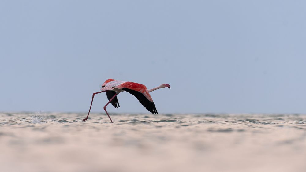 Photograph by Sunil Dhar