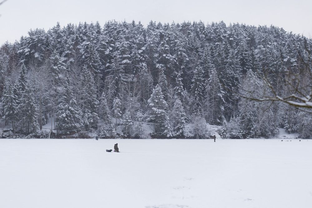 Фотография автора Ольга Никанович