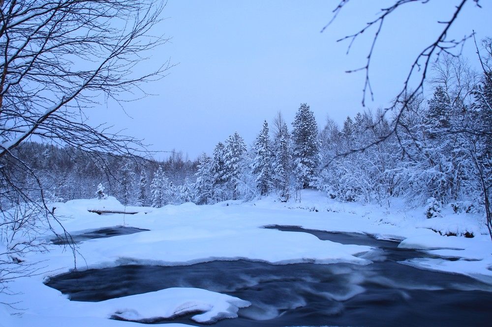 Фотография автора Светлана Овчинникова(Терехова)