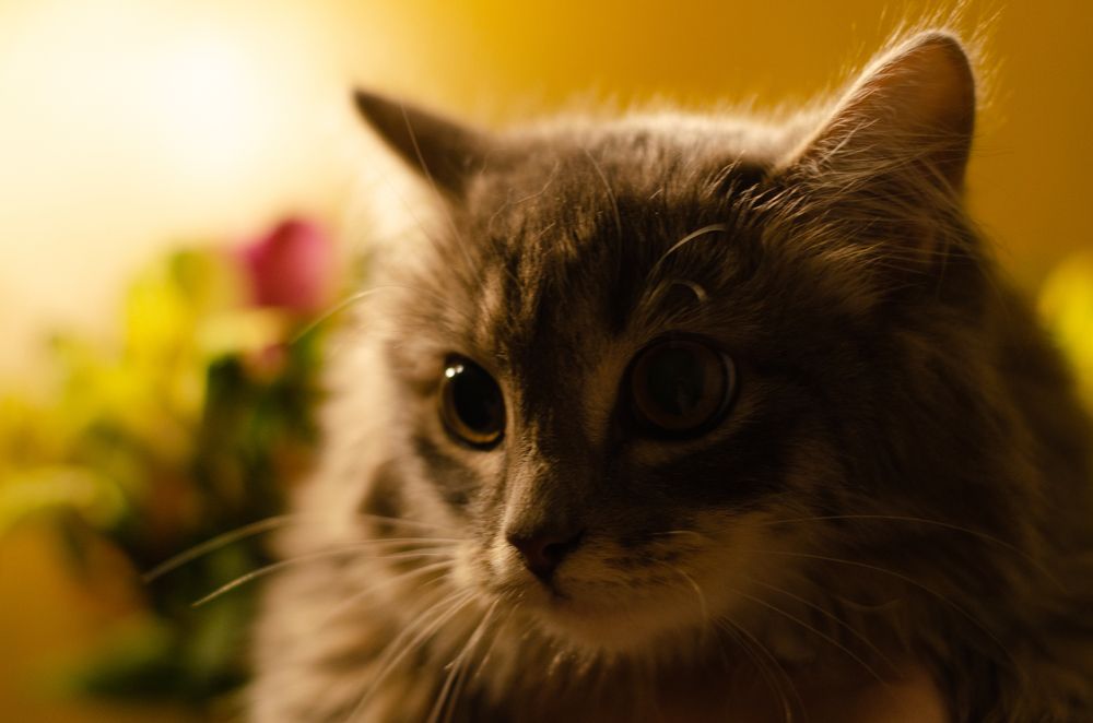 Фотография автора Евгения