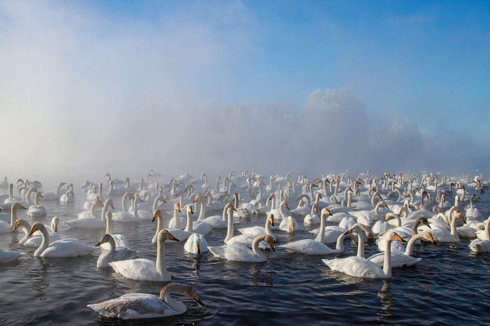 Photograph by Наталья Трифуз