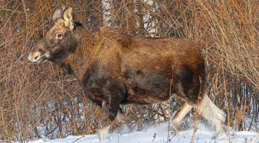 Photograph by Сергей