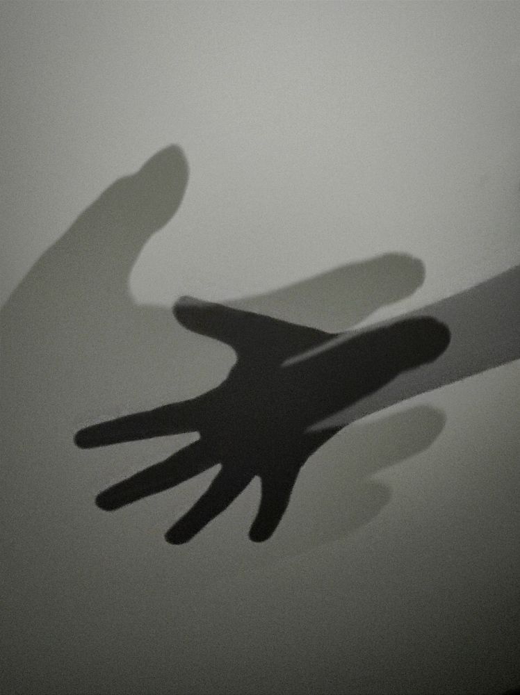 Фотография автора Елена Драко