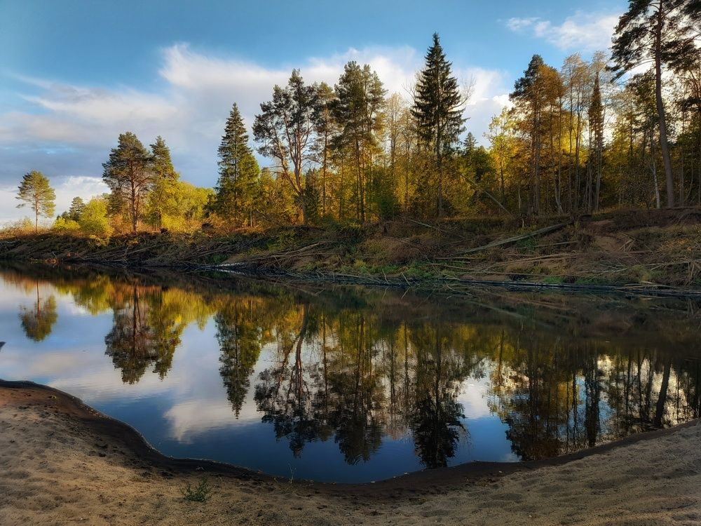 Фотография автора Тамара Караваева