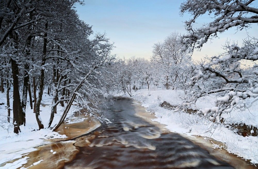 Photograph by IJA REIMAN