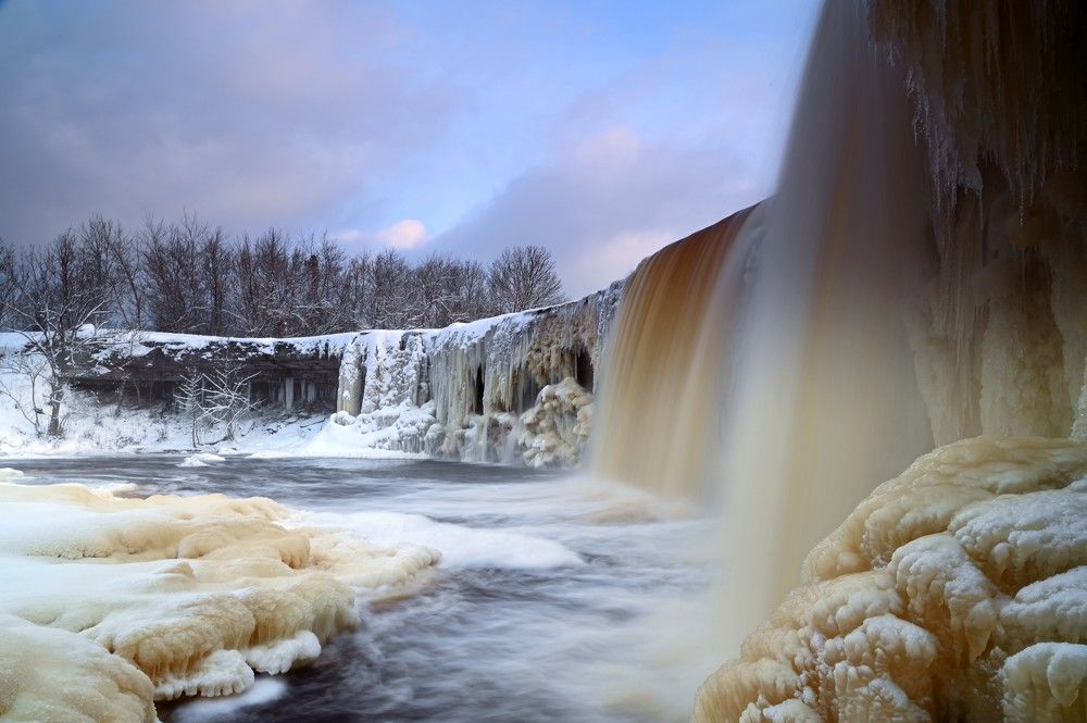 Photograph by IJA REIMAN