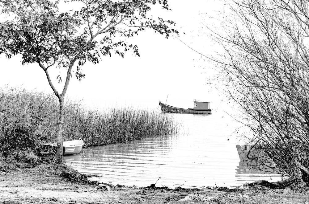 Photograph by José Roque Guimarães