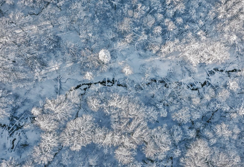 Photograph by Екатерина Коннова