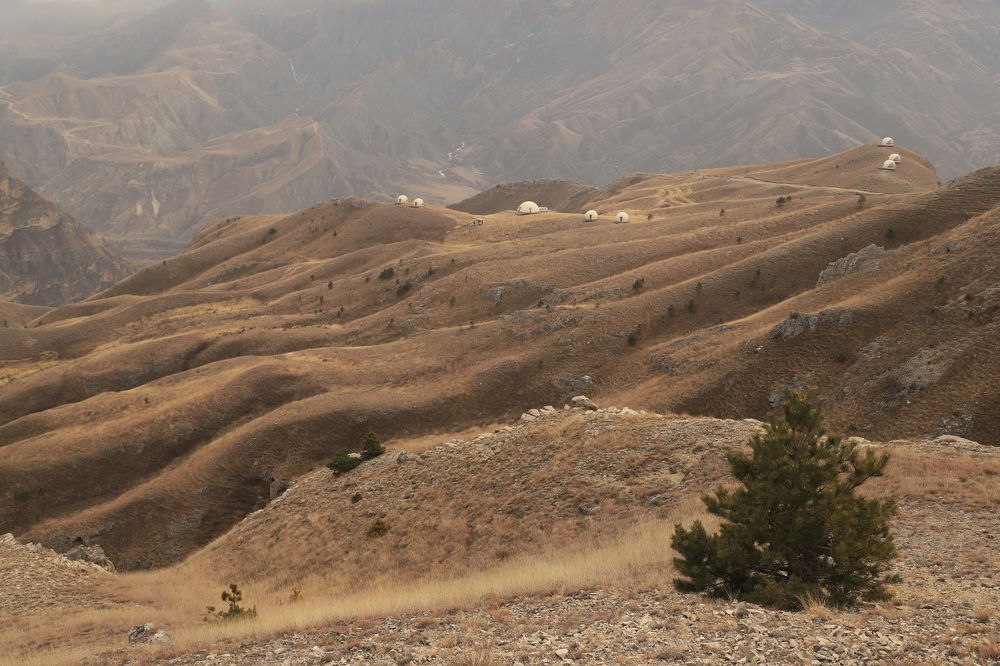 Фотография автора Ирина Солонина