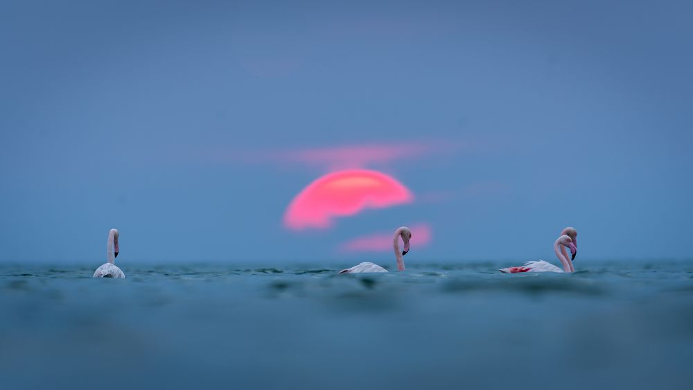 Photograph by Sunil Dhar