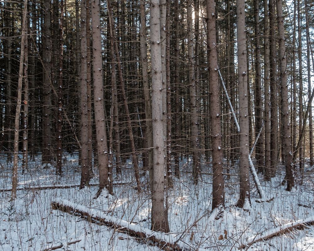 Photograph by Greg Noakes