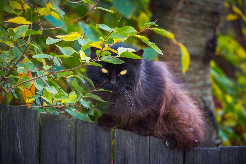 Photograph by Алексей Алексейчик