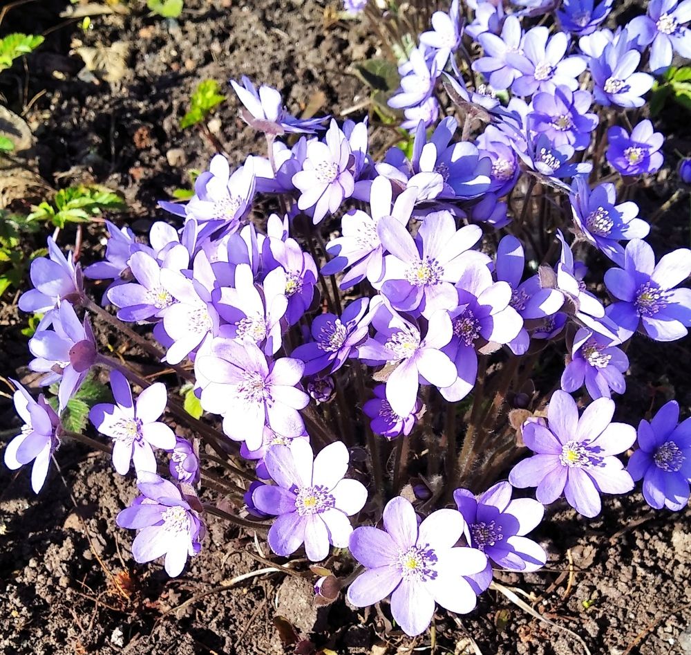 Photograph by Анна Виноградова