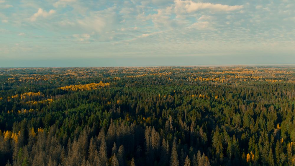 Photograph by Светлана Салтыкова