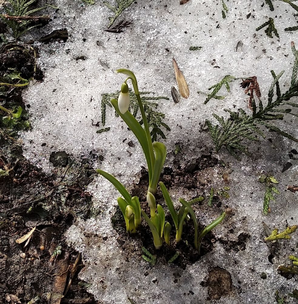 Photograph by Анна Виноградова