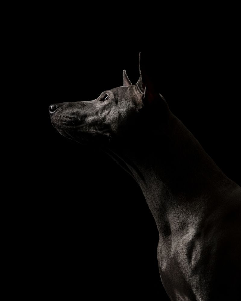 Photograph by Елена Левина