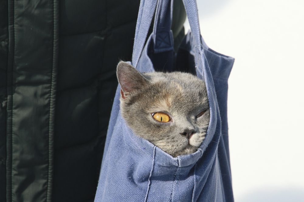 Photograph by Олег Укладов