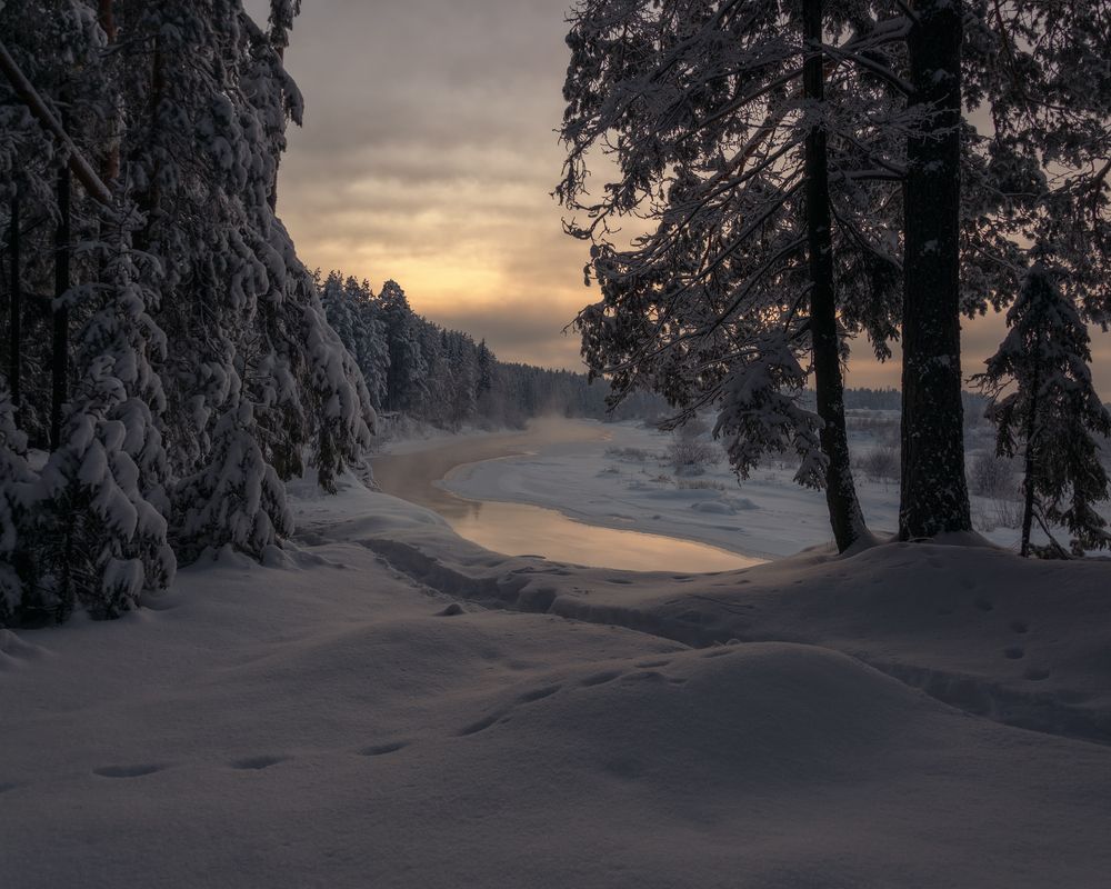 Photograph by Архипкин Александр