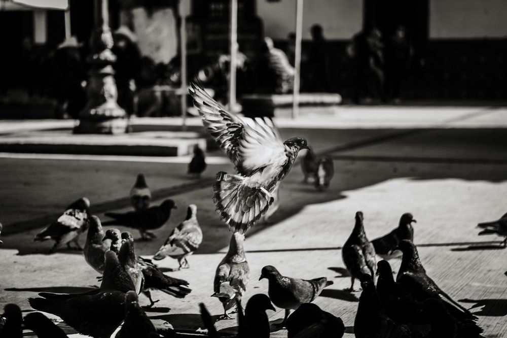 Photograph by Jose Manuel