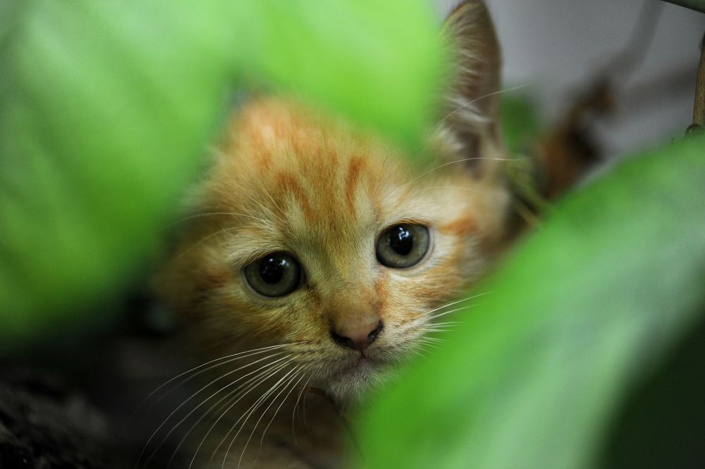 Photograph by Вероника Любицева