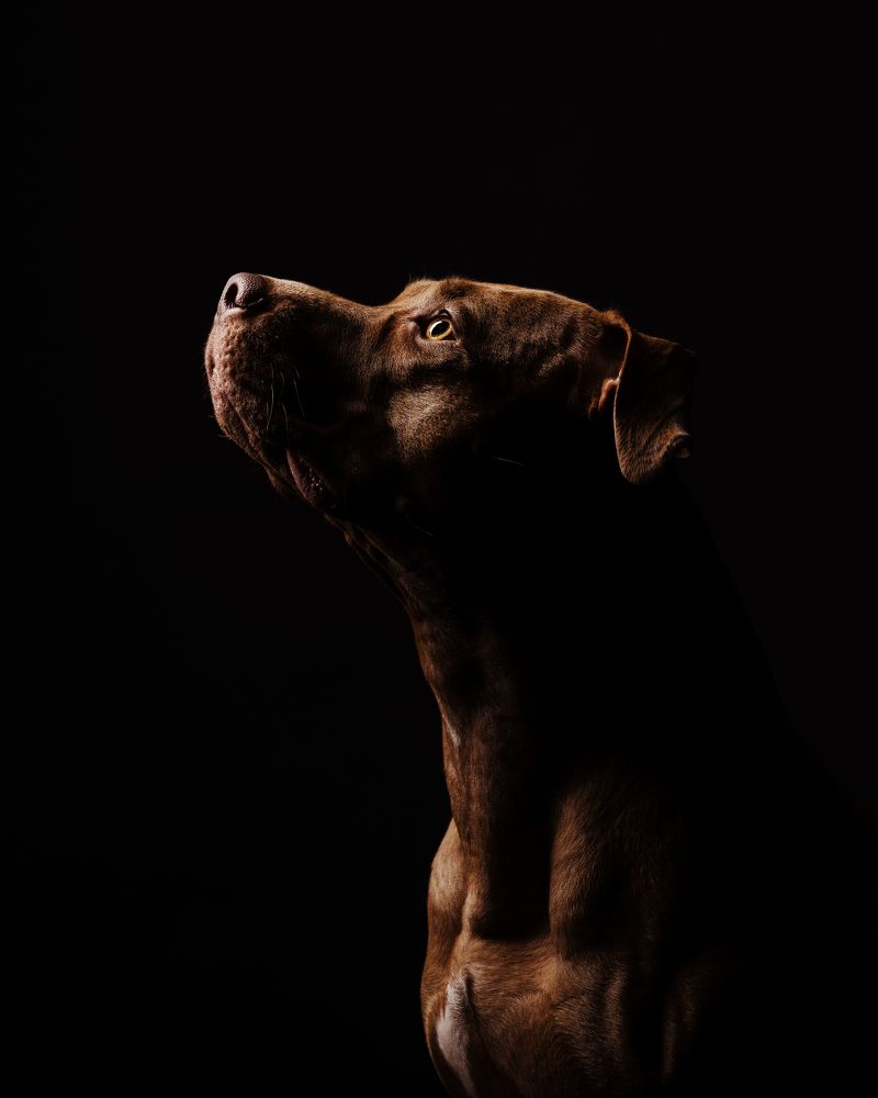 Photograph by Елена Левина