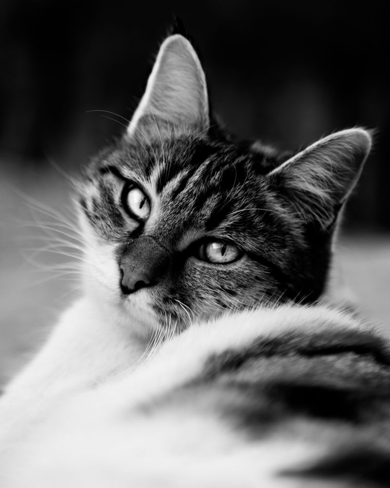 Photograph by seyed mostafa yousefi