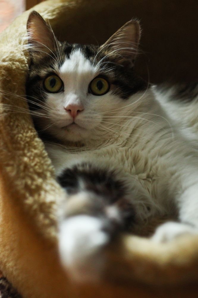 Photograph by Елена Квасова