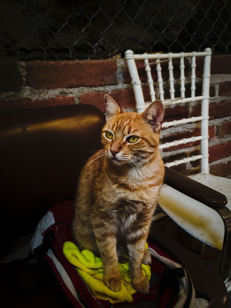 Photograph by Jose Manuel