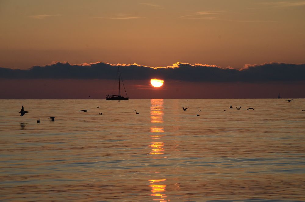 Photograph by Елена Сырцева