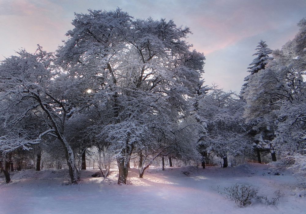 Фотография автора Шипунова Ирина