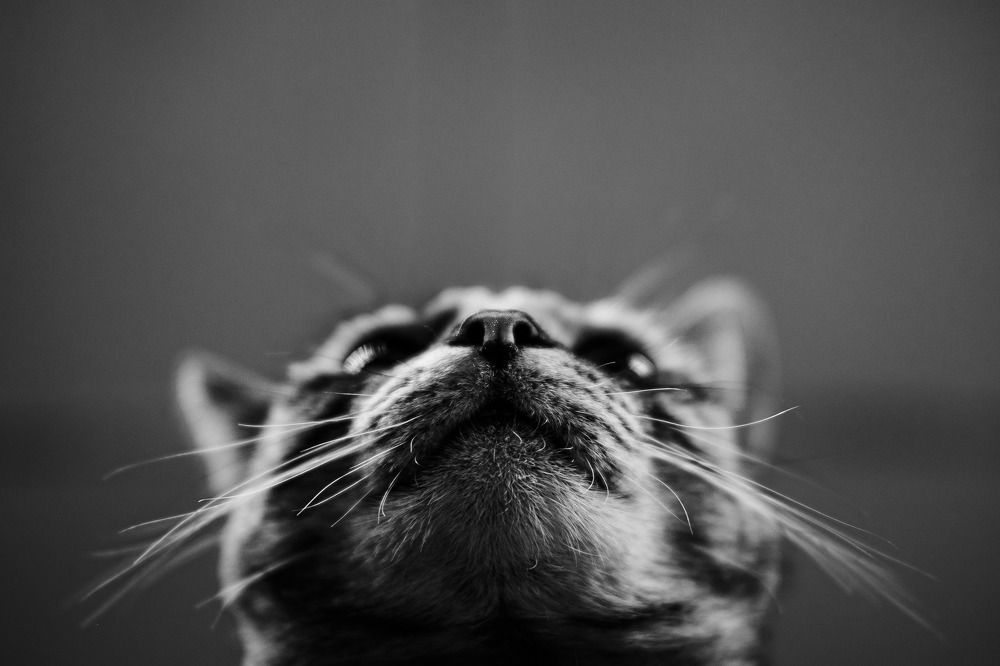 Photograph by Jose Manuel