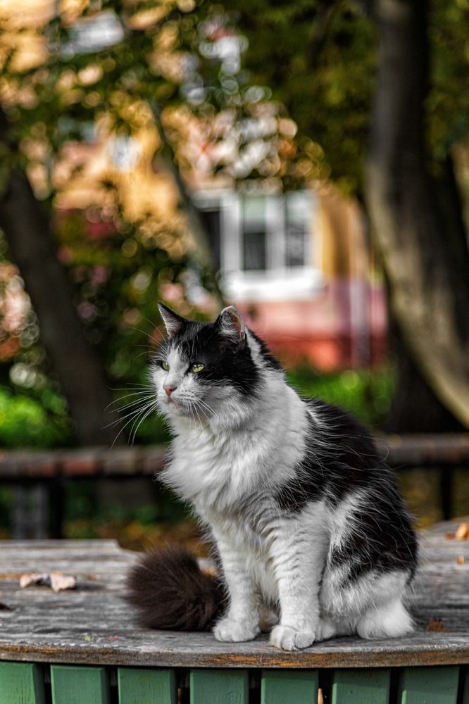 Фотография автора Виталий Новиков