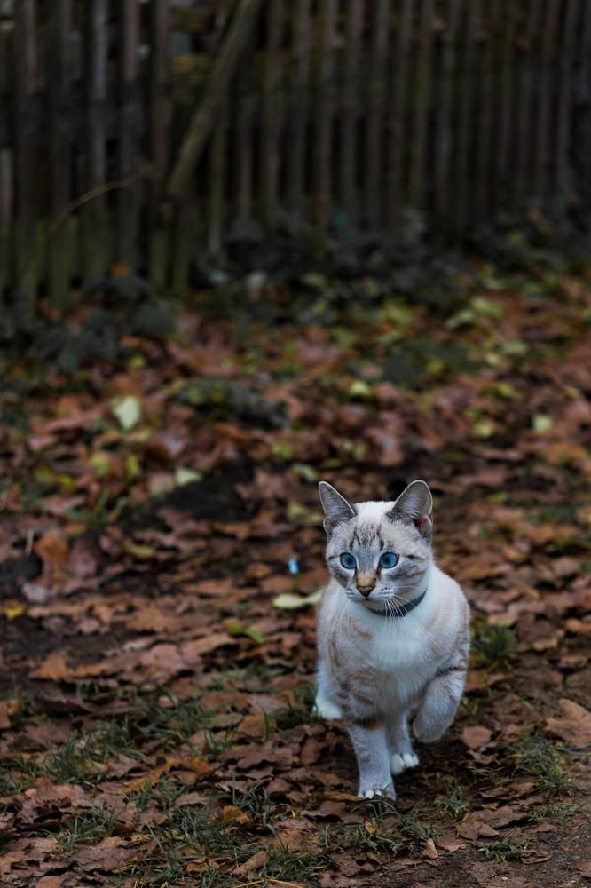 Фотография автора Виталий Новиков