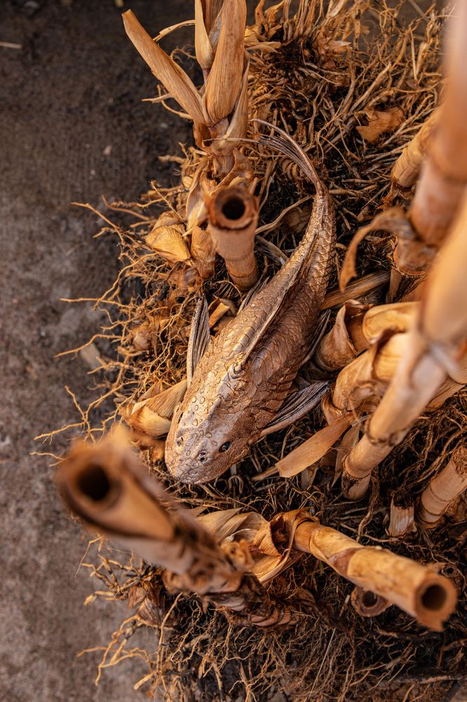 Photograph by Elena Mingazova