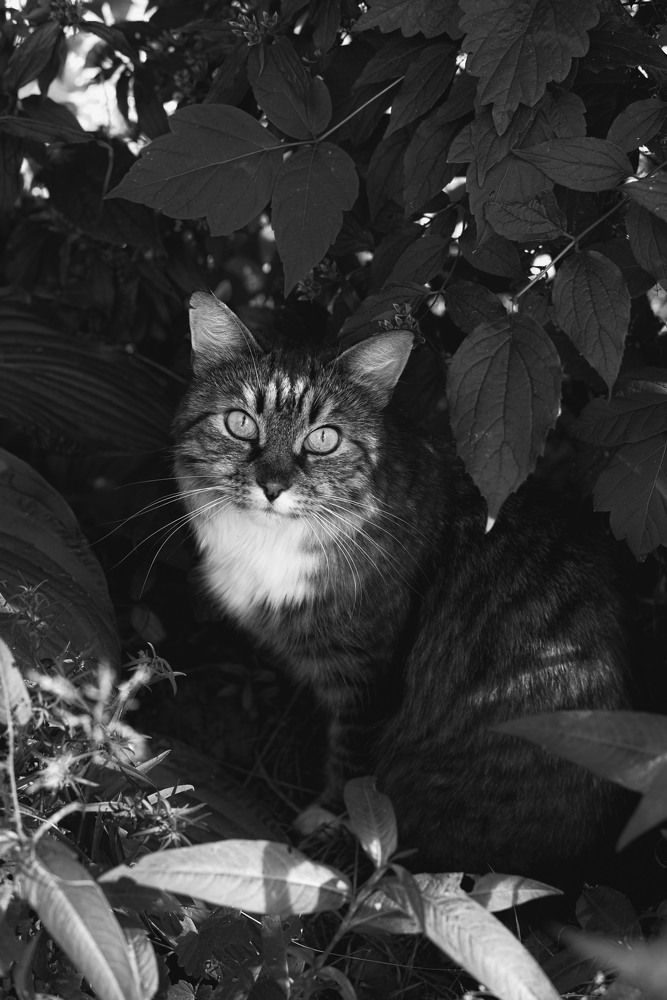 Фотография автора Маргарита Костаганова